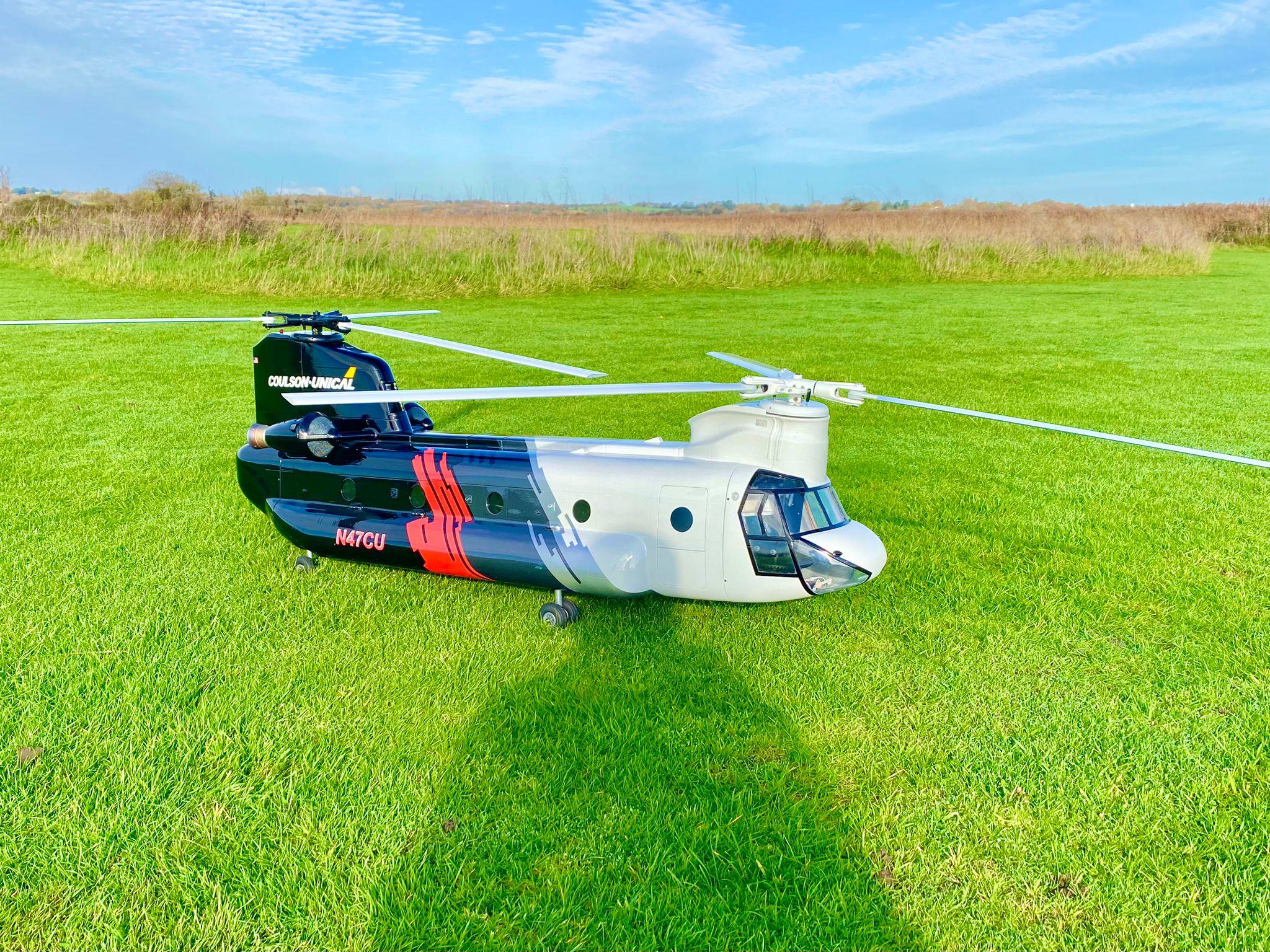 Scale Heli Meet 11th June